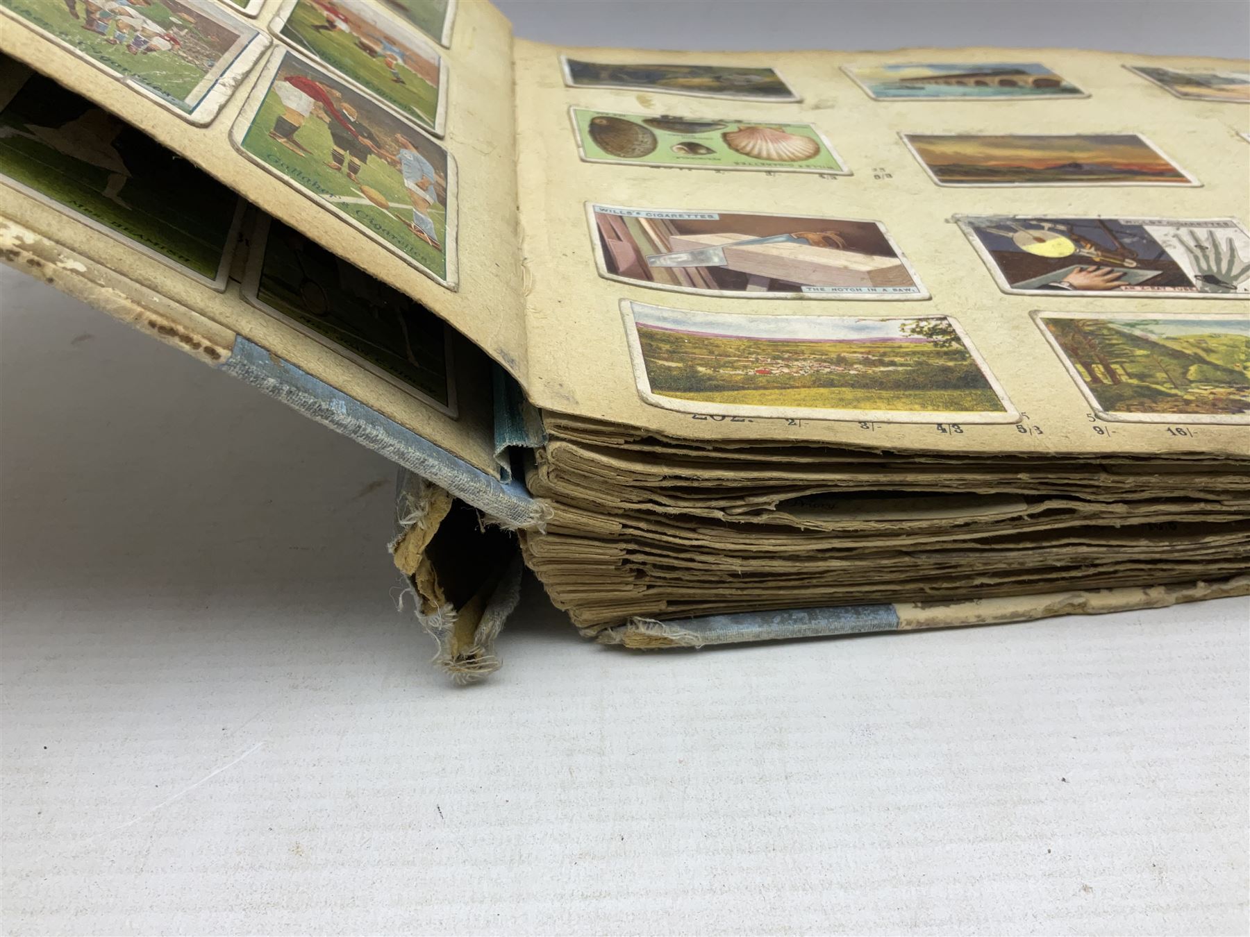 Three albums of cigarette cards including Wills Recruiting Posters, Military Motors and Allied Army Leaders, cricketers etc; another album containing a large quantity of laid-in cigarette cards; and an album of thirty-seven postcards of dogs by Mac (5)