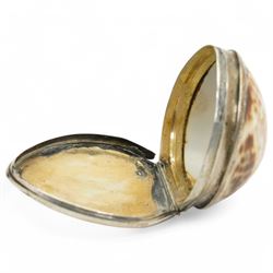 Early 19th century silver mounted cowrie shell snuff box with engraved decoration, George IV silver caddy spoon and a silver cheroot holder