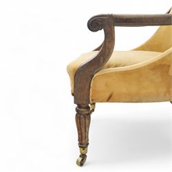 William IV mahogany library armchair, beige velvet upholstered back and padded seat with piping and scroll carved arms, reeded uprights, raised on tapered reeded front legs and out-swept back legs with brass castors 