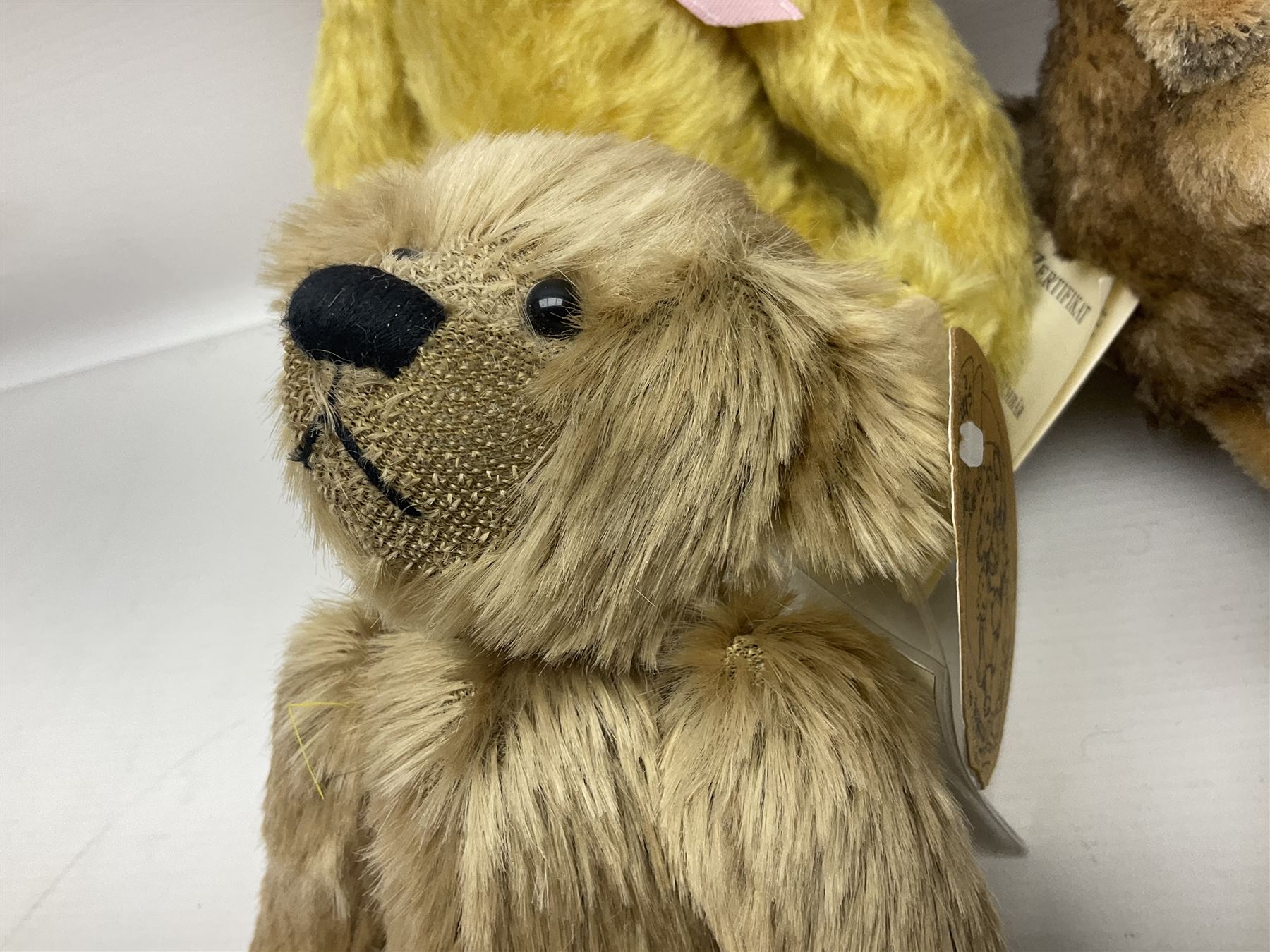 Seven modern Steiff teddy bears comprising two limited edition '1908 Paul the Growler' bears Nos.1124/3000 and 1310/3000; 028649 Classic Teddybear 23; 005992 Classic Teddybear 28 (black); 071249 Mungo Meerkat 30; 079139 Reclining dog for American Kennel Club; and 029561 Petsy gespitzt (1928) 16cm; together with a Mrs. McCatty's limited edition 2156 Sophie bear No.1557/1750; all unboxed but most with labels (8)