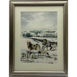 Lesley Fotherby (British 1946-): Jacob Sheep in Winter Dales Landscape, watercolour signed 52cm x 37cm