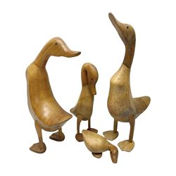 Four carved fruit wood ducks by Dcuk of various sizes, tallest H47cm