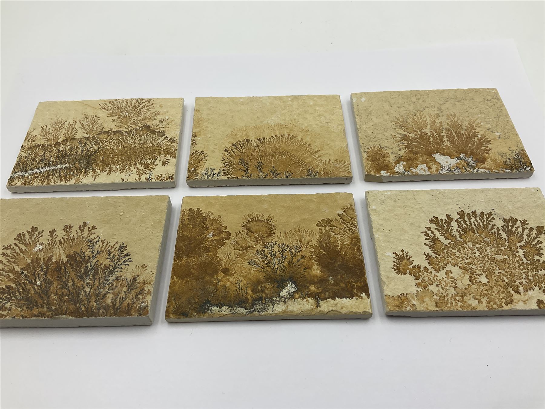 Six dendrite crystals each in an individual sandstone plaque, each plaque H6cm, L8cm