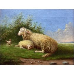 GT Arnold (British 19th century): Ewe Lamb and Cockerel, oil on canvas signed and dated 1884, 17cm x 22cm (in slip frame)