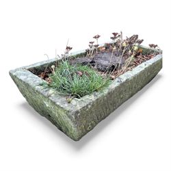 19th century stone trough, planted