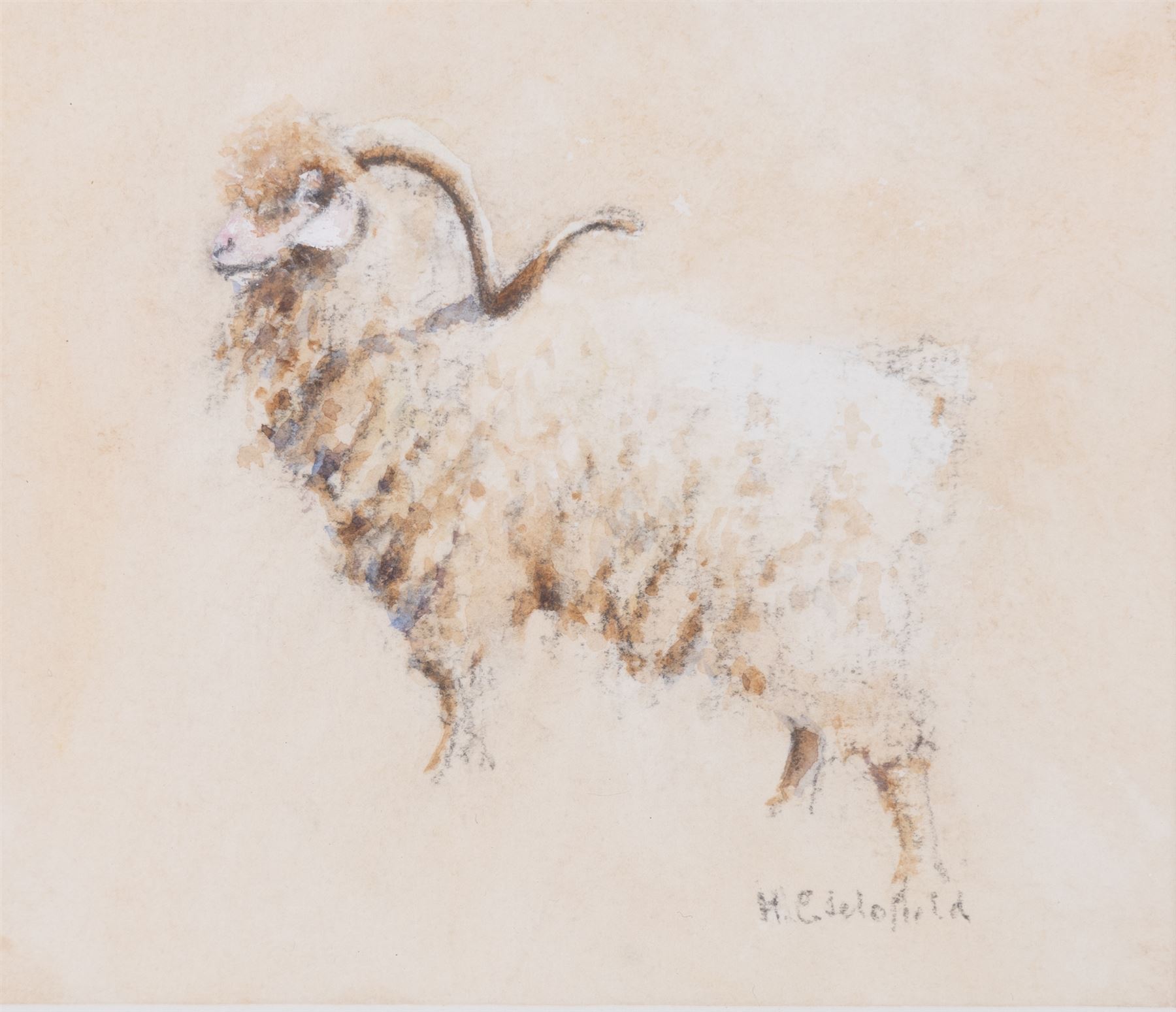 HC Schofield (British 20th Century): Sheep and Ram, two watercolours signed 10cm x 12cm (2)