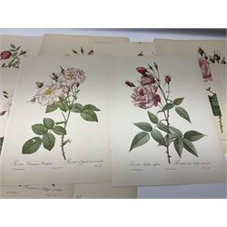 Pierre-Joseph Redoute; two copies of Roses 2, published by The Ariel Press, London 1956, containing coloured plates 