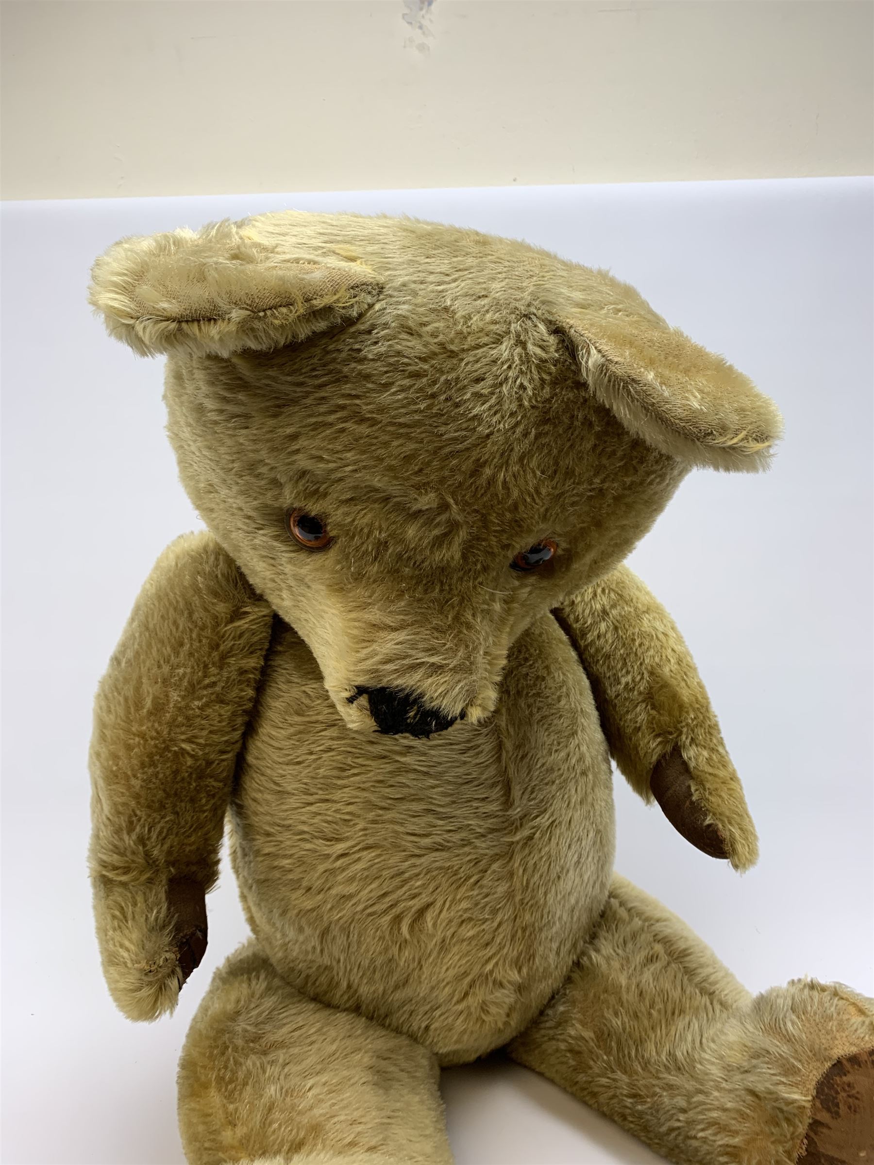 Very large Irish Tara bear c1950s with plush covered body, swivel jointed head with glass eyes and vertically stitched nose and mouth, jointed limbs with rexine pads and growler mechanism H37