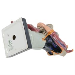 Four Royal Doulton figures, comprising The Judge HN2443, The Lawyer HN3041, Punch and Judy Man HN2765 and HN2016 