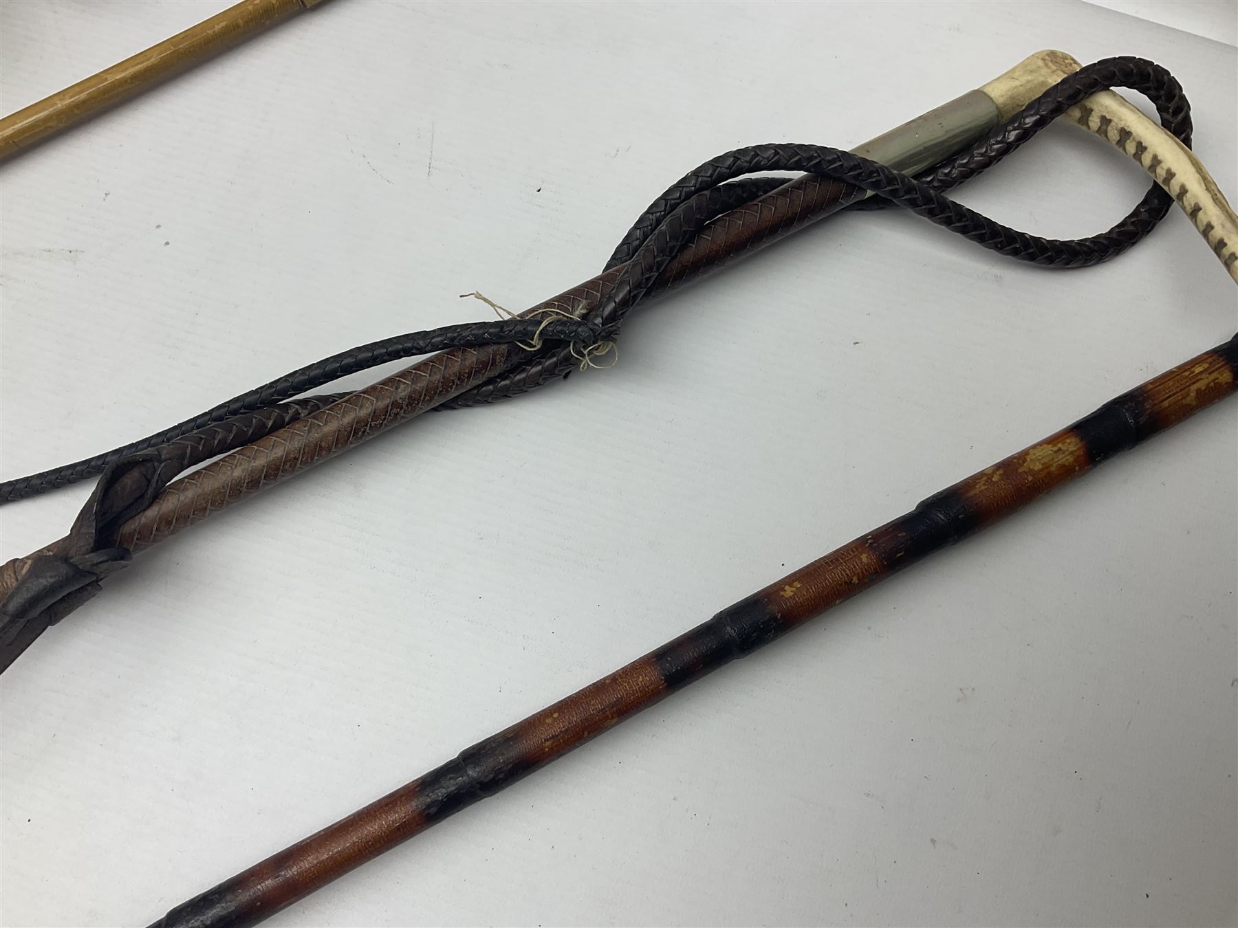 Collection of hunting crops and riding whips, including horn handle examples with silver cuffs