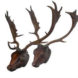 Pair of 20th century Continental carved wooden stag heads, probably Black Forest, with gla...
