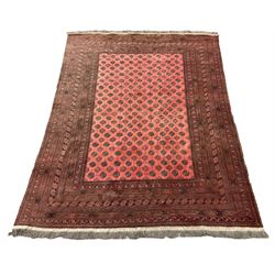 Large red ground Persian Bokhara carpet, the field decorated with traditional repeating Gul motifs, multi-band guarded border decorated with geometric designs
