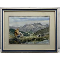 G F Overton (British 20th century): 'Portrait  a spaniel' and 'The Shepherd', two watercolour signed max 31cm x 46cm (2)