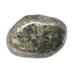 Stone paperweight with ammonite inclusions L10cm