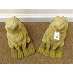  Pair composite stone seat hare garden figures, H47cm  