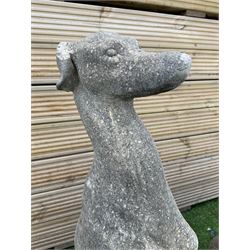Pair of cast stone seated greyhounds, H75, W20, D25 - THIS LOT IS TO BE COLLECTED BY APPOINTMENT FROM DUGGLEBY STORAGE, GREAT HILL, EASTFIELD, SCARBOROUGH, YO11 3TX