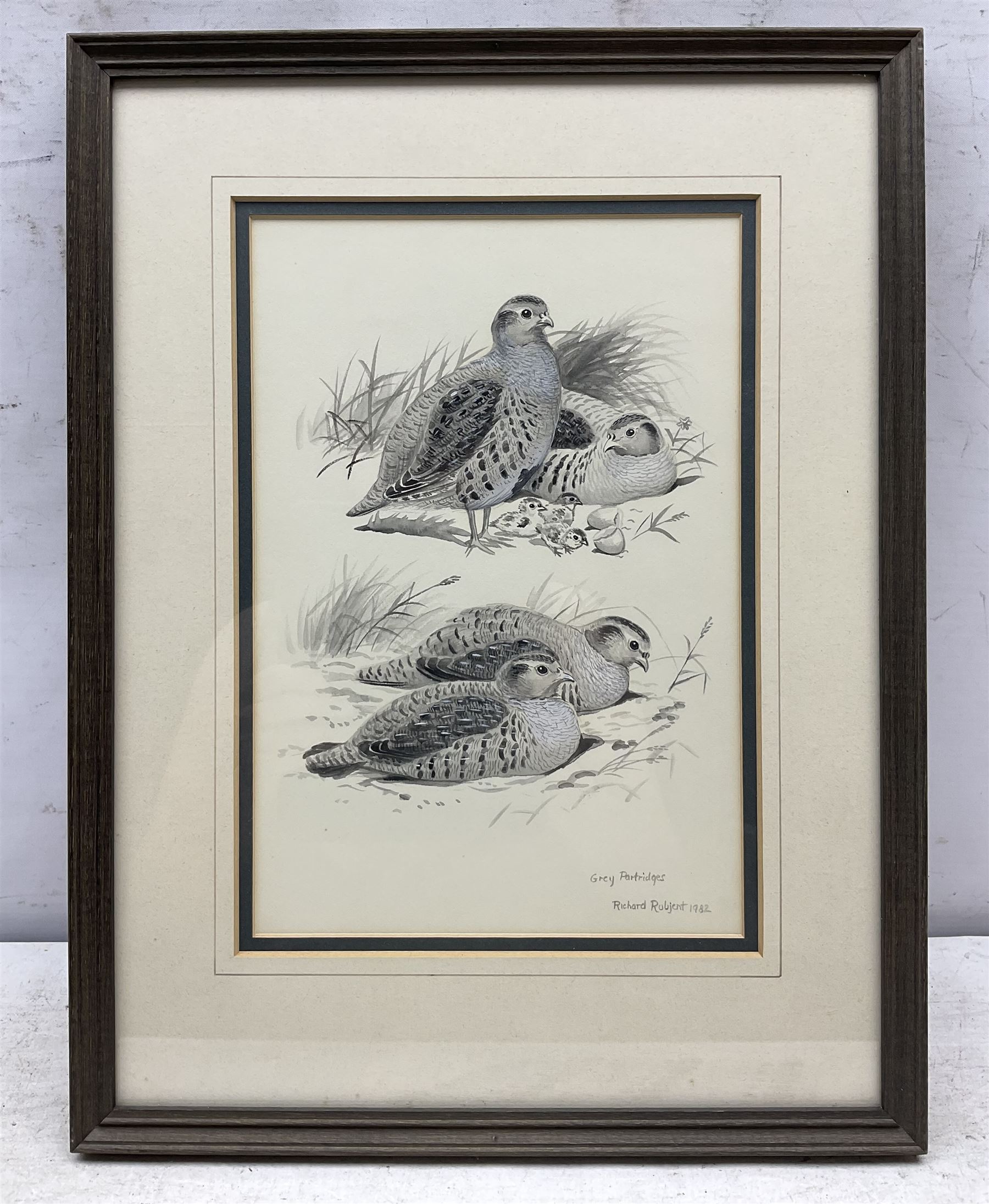 Richard Robjent (British 1937-): 'Grey Partridges', monochrome watercolour signed titled and dated 1982, 28cm x 19cm 