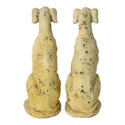 Pair of composite seated greyhound statues, H62cm 