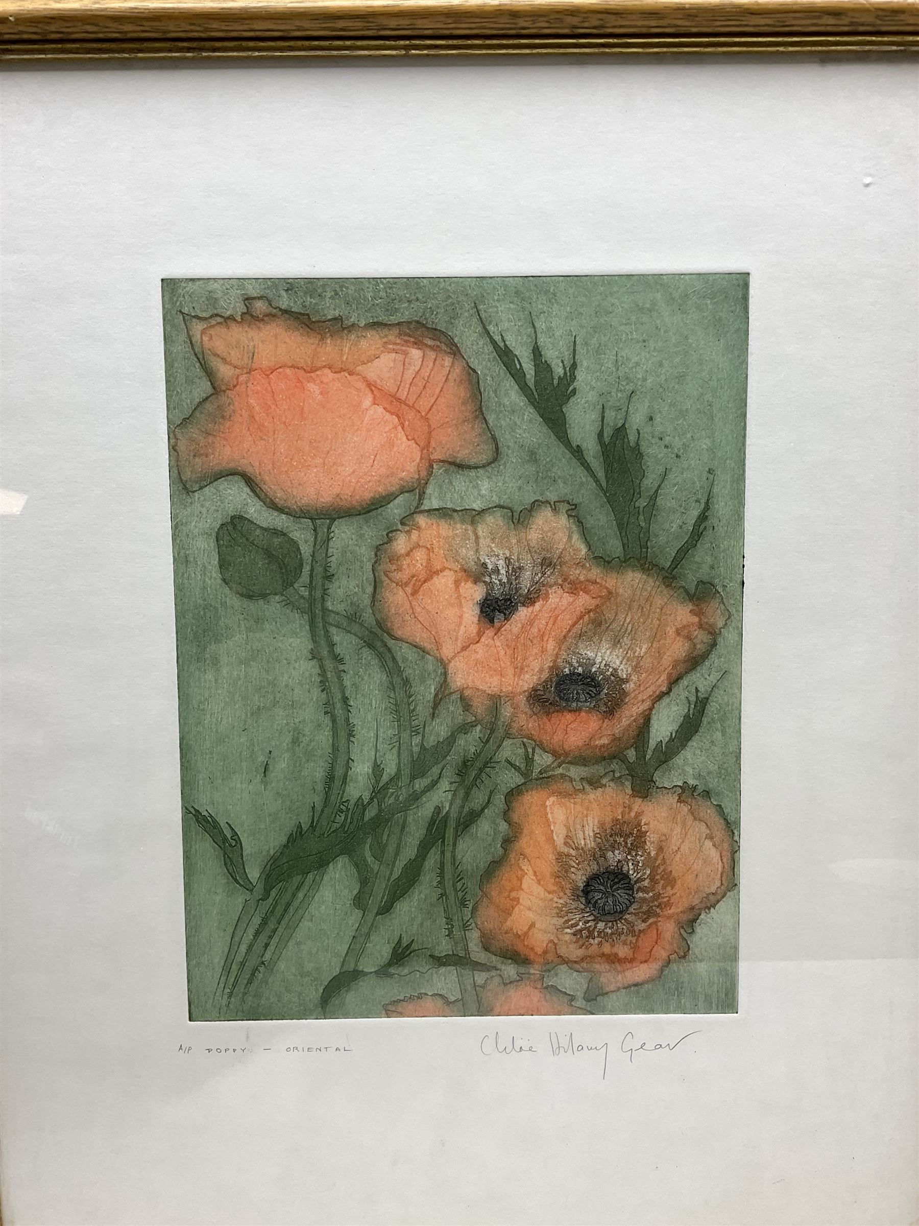 Chloe Hilary Gear (British Contemporary): 'Poppy - Oriental', artist's proof coloured etching with aquatint signed and titled in pencil 30cm x 23cm with full margins; Daphne Stevenson (British Contemporary): Roses, watercolour signed, titled verso with artist's Richmond address 30cm x 40cm