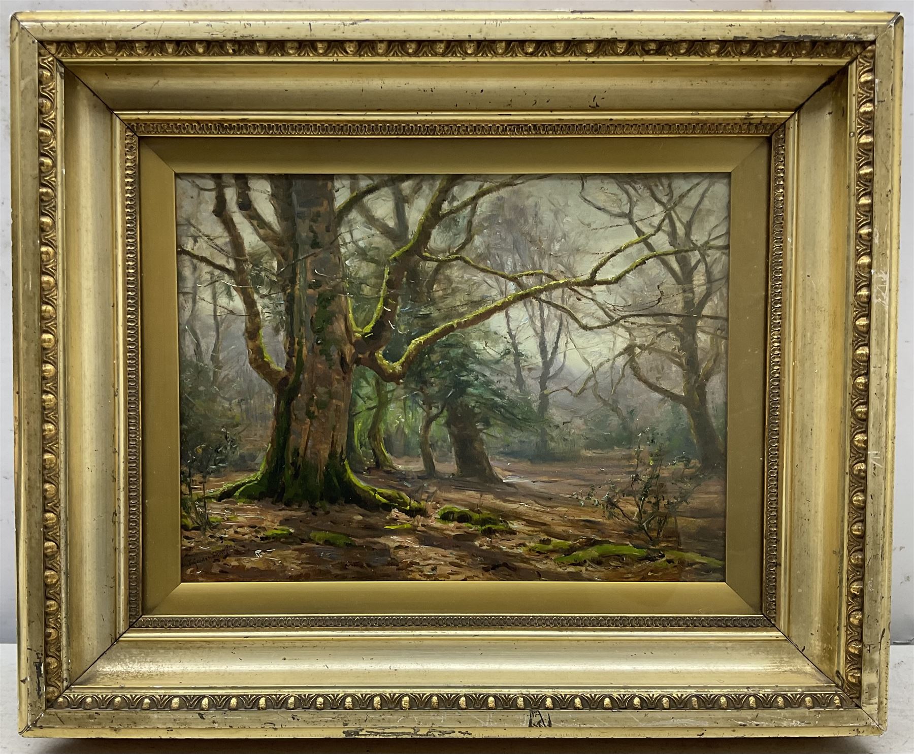 Frederick Golden Short (British 1863-1936): Sunlight in the Forest, oil on board signed and dated 1910, 22cm x 29cm