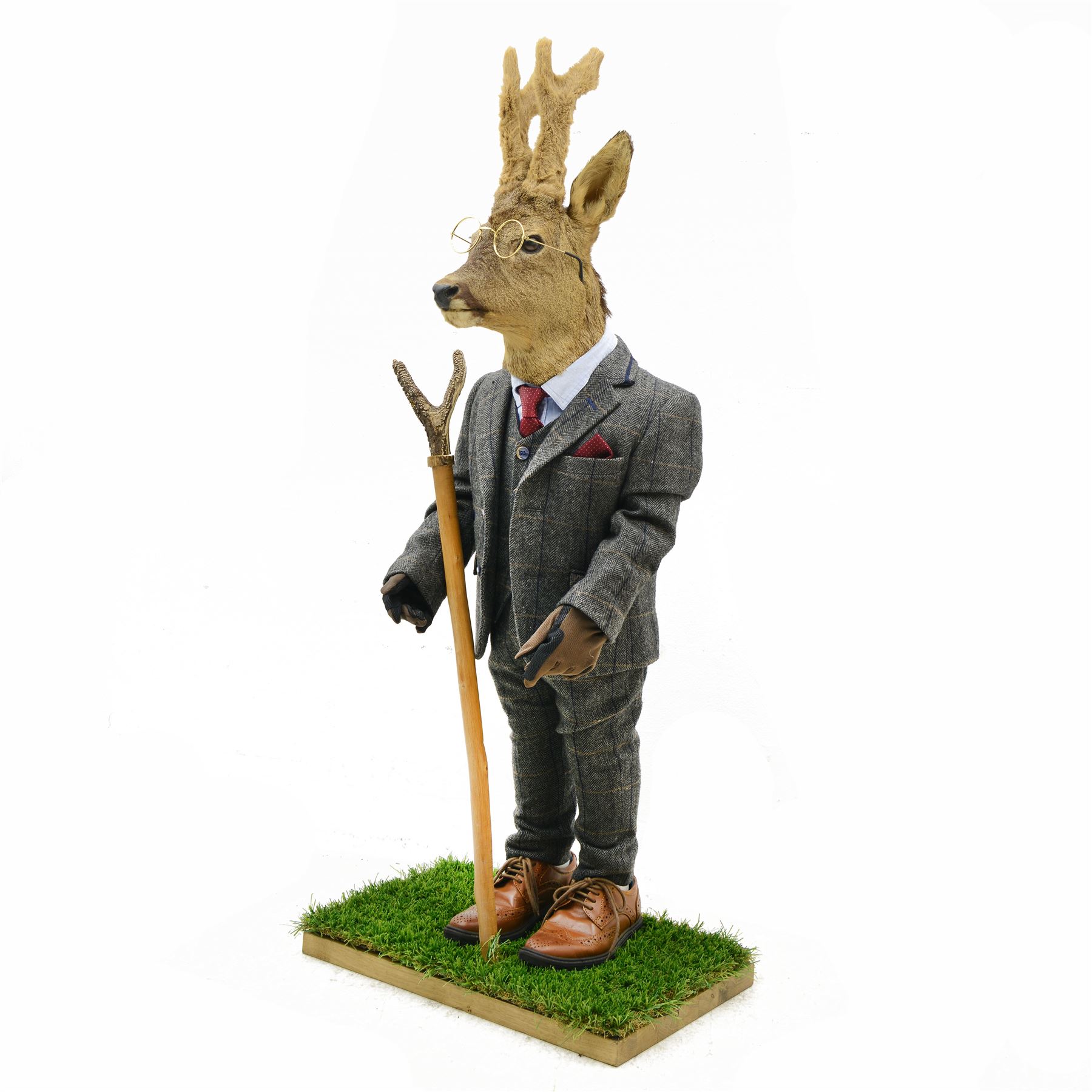 Anthropomorphic Taxidermy: Roe Deer (Capreolus capreolus), in a standing pose dressed as a gentleman with suit and waistcoat, leather shoes and horn handled thumbstick, H112cm