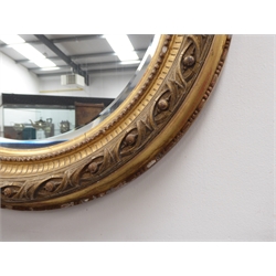 Victorian circular gilt wood and gesso wall mirror, circular bevelled plate in moulded frame D60cm  