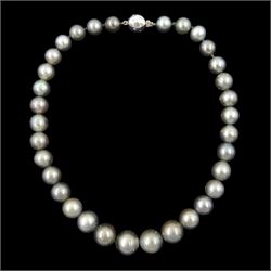 Single strand graduating Tahitian pearl necklace, with 18ct white gold, rubover set, round brilliant cut diamond clasp, hallmarked