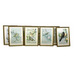 After Basil Ede (British 1931-2016): Bird Studies, set eight colour prints 30cm x 20cm (8)