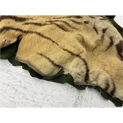 Skins/Hides: Victorian Tiger skin rug (tigris tigris), with green backing with scalloped edges,  L188cm  