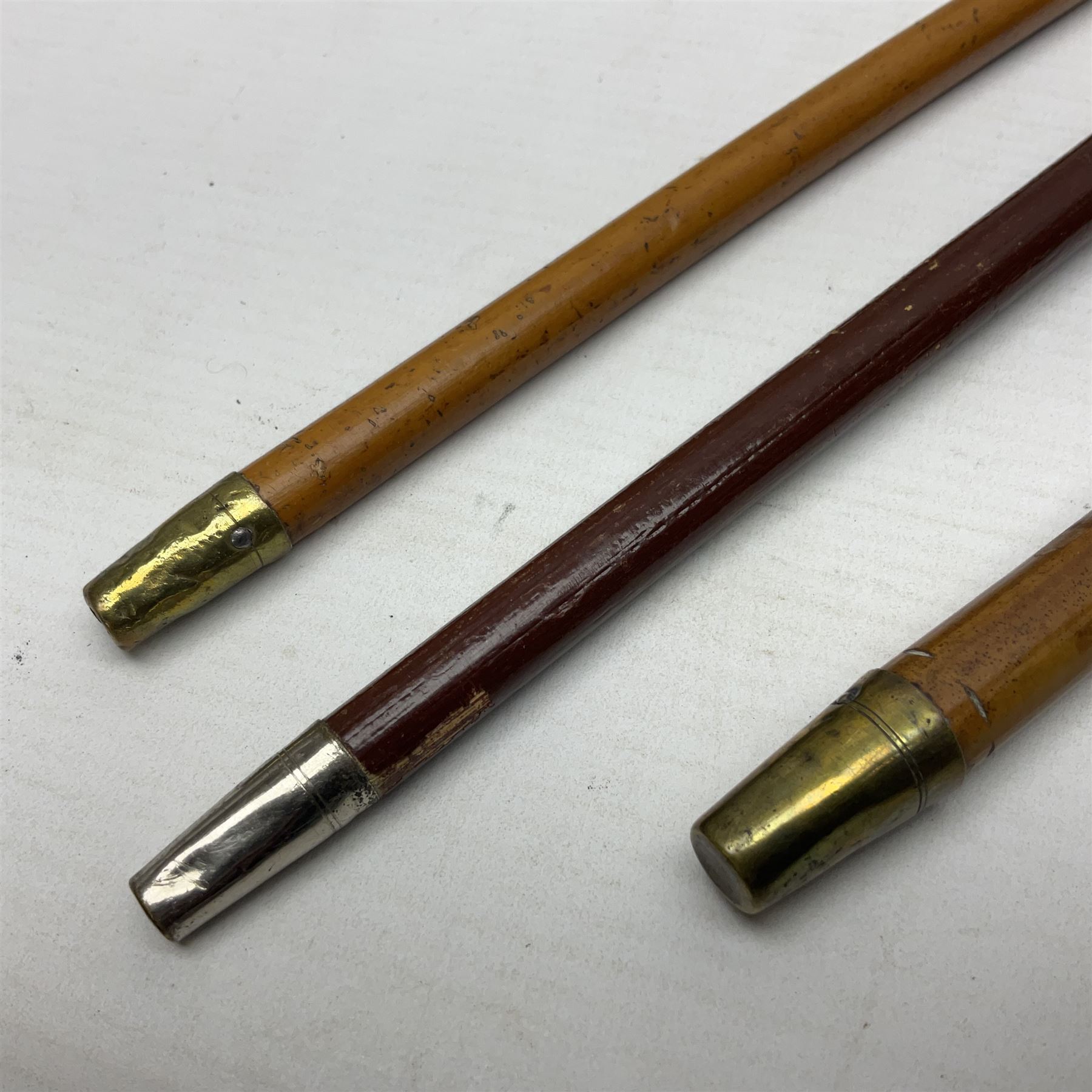 Three malacca cane swagger sticks - Duke of York's Royal military School L68cm; RAMC; and another embossed with a lion to the terminal (3)