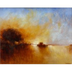 Shannon Morgan (USA 1966-): 'Luminous Fields', oil on artist's board signed and dated 2017, titled verso 39cm x 49cm
Notes: Shannon was born and raised in the USA but for the last fifteen years has lived and worked in the City of York. Exhibiting with the Society of Women Artists in London, the Ferens Gallery Hull and the York Art Society