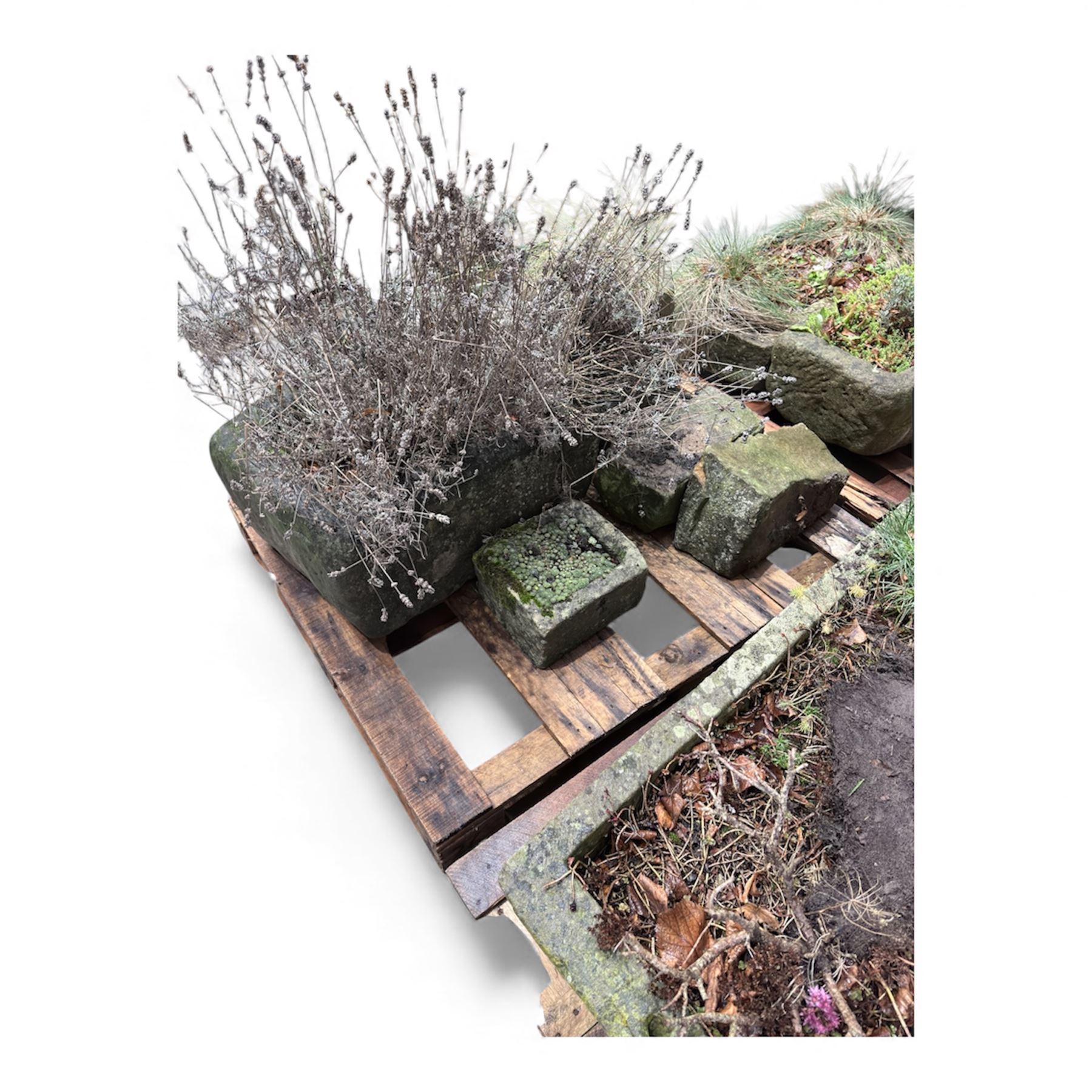 Two 19th century stone troughs with small stone planter