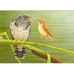  Robert E Fuller (British 1972-): 'Reed Warbler and Cuckoo', oil on board signed and dated 2014, 22cm x 30cm Provenance: from a single owner collection purchased from the Robert Fuller Gallery between 2006 and 2014  DDS - Artist's resale rights may apply to this lot  