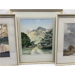Norman Jackson (British 20th century): Sunset Lake Landscape and Flatland Landscape with Hilly Scene, pair watercolours together with a smaller by the same hand, signed max 31cm x 51cm (3)