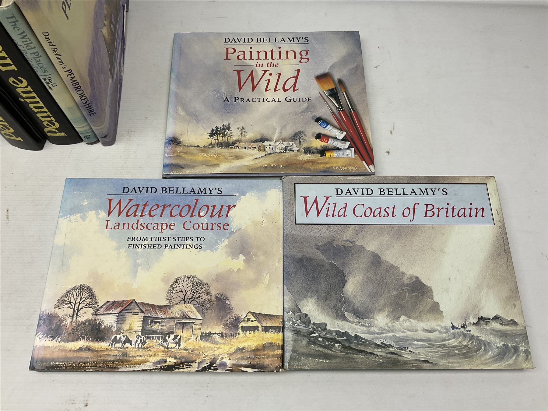 Eight books by David Bellamy on watercolour painting; and two bound volumes of Pennine Magazine 1981-84 (10)