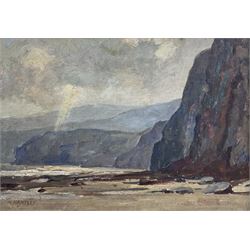 Marie Hartley (Yorkshire 1905-2006): 'Cliffs near Robin Hood's Bay', oil on canvas signed, titled on printed label verso 25cm x 35cm