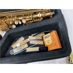 Trevor James Artemis A1 brass alto saxophone AL11572, serial no.321041; in lightweight carrying case with accessories