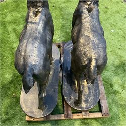 A pair of bronzed cast iron life-size garden or indoor Stags, oval plinth base - THIS LOT IS TO BE COLLECTED BY APPOINTMENT FROM DUGGLEBY STORAGE, GREAT HILL, EASTFIELD, SCARBOROUGH, YO11 3TX