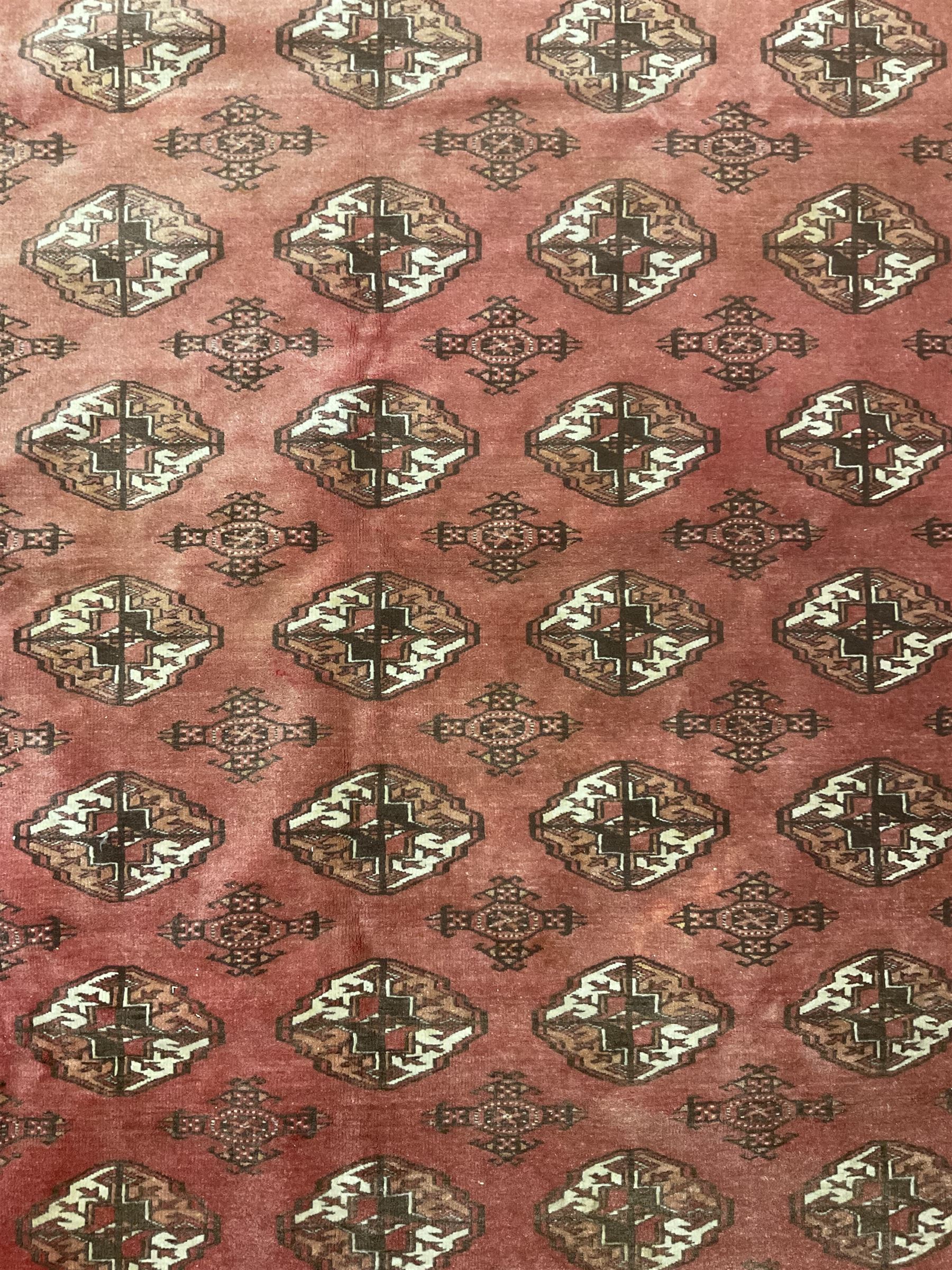 Afghan Bokhara red ground rug, the field decorated with five rows of Gul motifs, guarded border decorated with lozenges and geometric pattern 