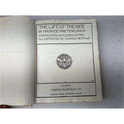 Maurice Maeterlinck: 'The Life of the Bee', illustrated E.J. Detmold, 13 mounted coloured plates, pub. Geo. Allen & Co. Ltd. London, 1911,