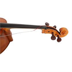 19th century cello, with two piece back and ebonised finger board, contained within a hardcase, cello back length 75cm