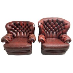 Wade - pair of Georgian design armchairs, high curved back and scrolled arms upholstered in deep buttoned oxblood 'Pegasus' leather, on castors
