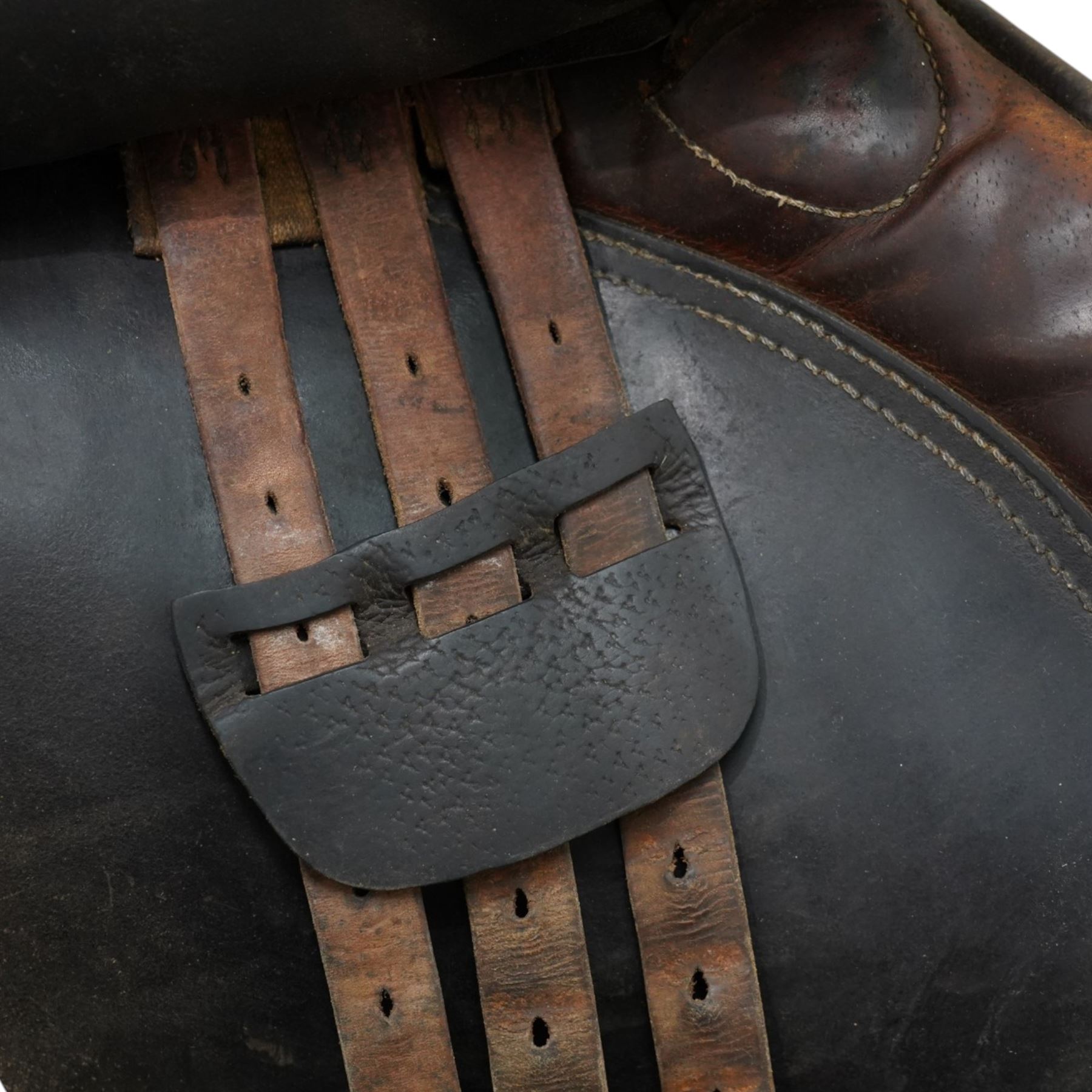 Newcome Saddle, together with one other 