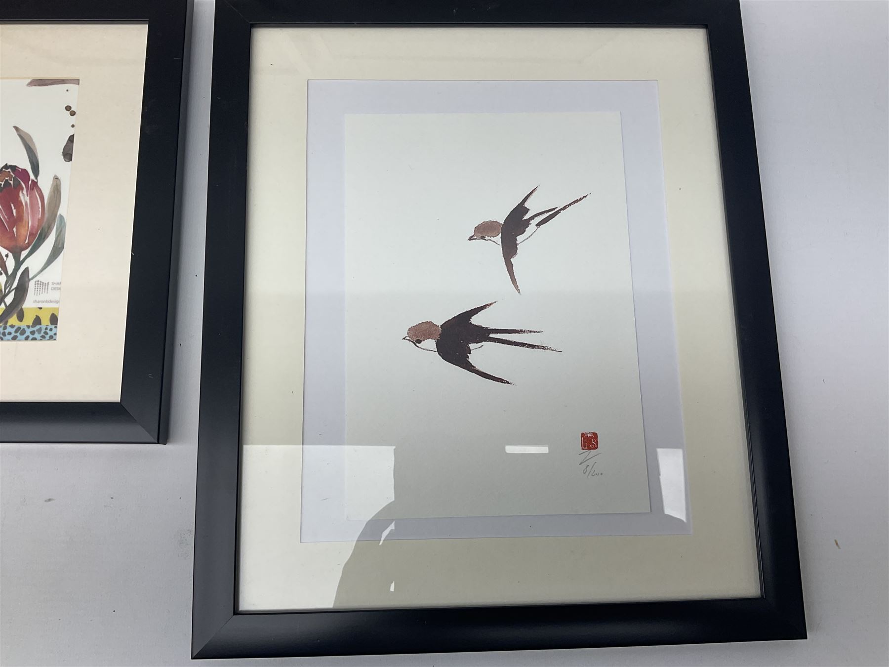 Mexican School (20th century): Birds of Paradise, pair Amate bark paintings together with four further pictures of birds max 31cm x 23cm (6)