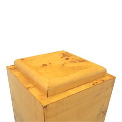 Art Deco style pair of burr walnut pedestals, rounded square top raised on a plinth base