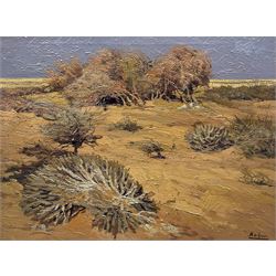 Manuel de Gracia (Spanish 1937-2017): Arid Landscape, oil on canvas signed 45cm x 60cm