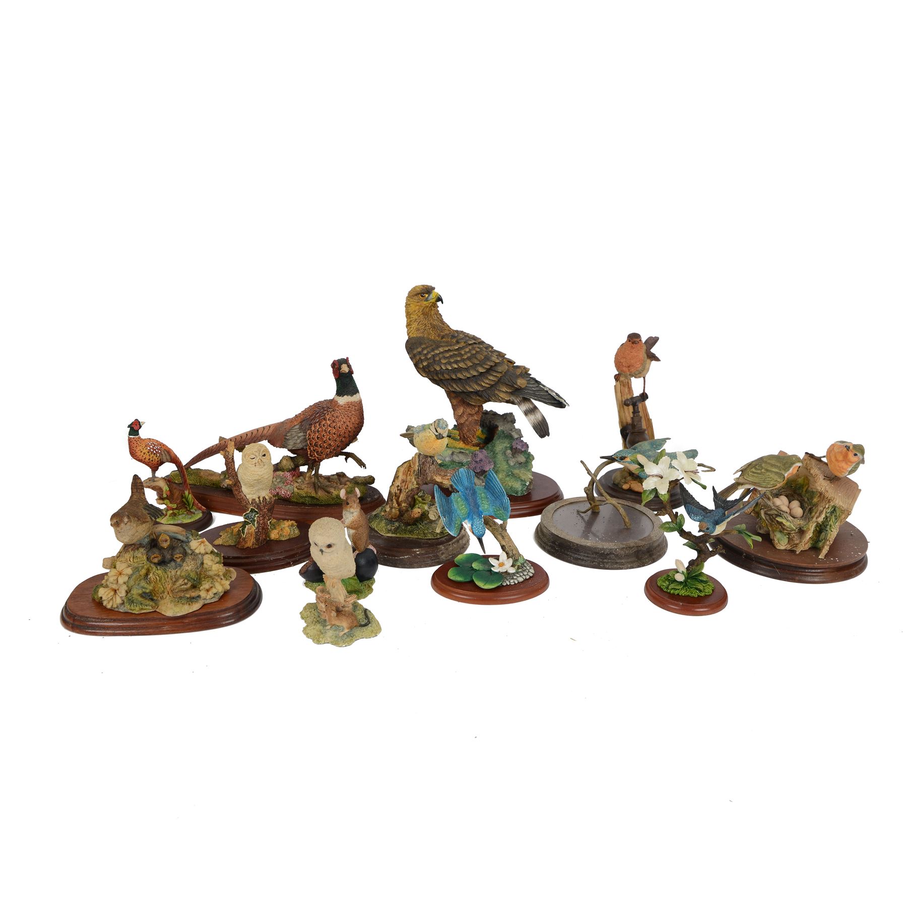 Collection of Border Fine Arts bird figures, including Pheasant No A1475, Golden Eagle No A0658, Swallow No A3457 etc