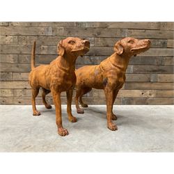 Pair of life-size heavy cast iron garden Hunting dogs