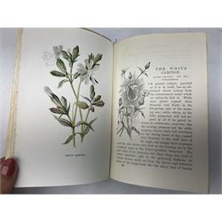 The Felix Annual 'the comic adventures of felix the film cat', The Japhet & Happy book , Hulm, Edward; Familiar Wild Flowers, with 40 coloured plates and other books