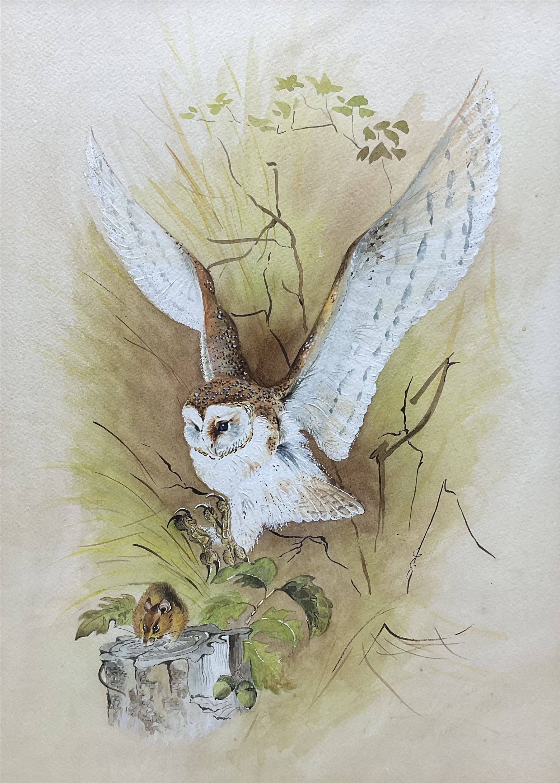 Attrib. Brian Needham (British ?-2004): Barn Owl and Harvest Mouse, watercolour and gouache unsigned 46cm x 33cm 
